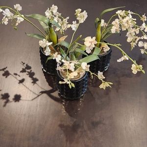 2 Pottery Barn Faux Mini Oncidium (Dancing Lady) EUC